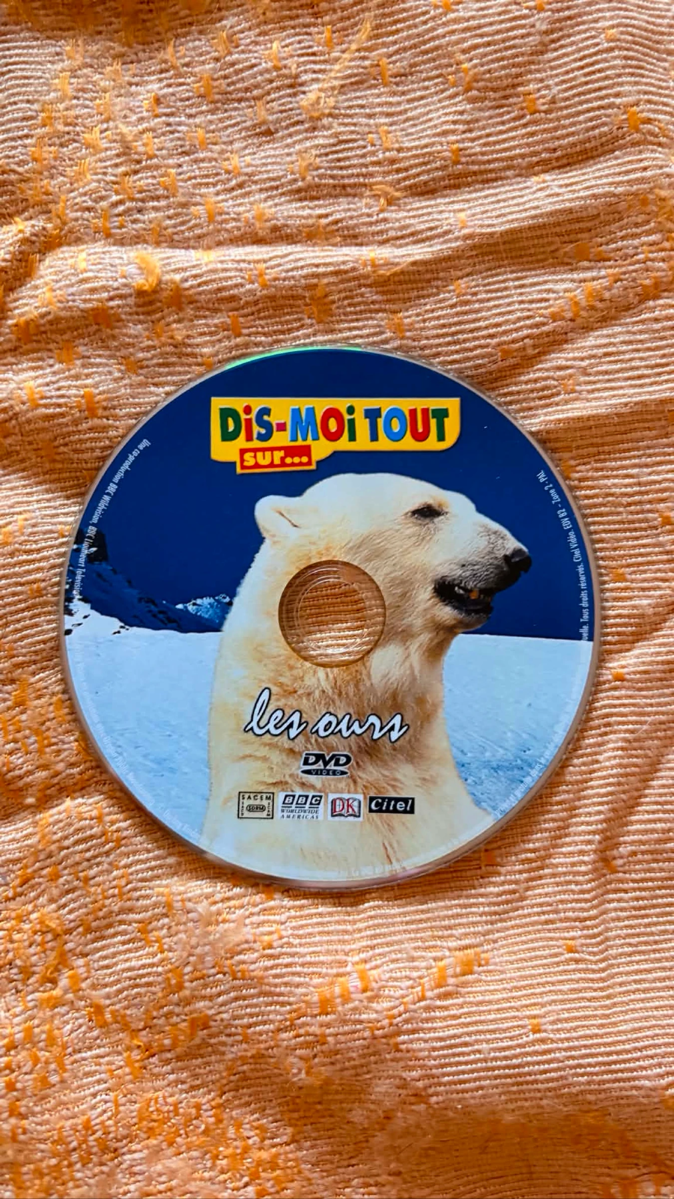 Dis-moi tout sur les ours